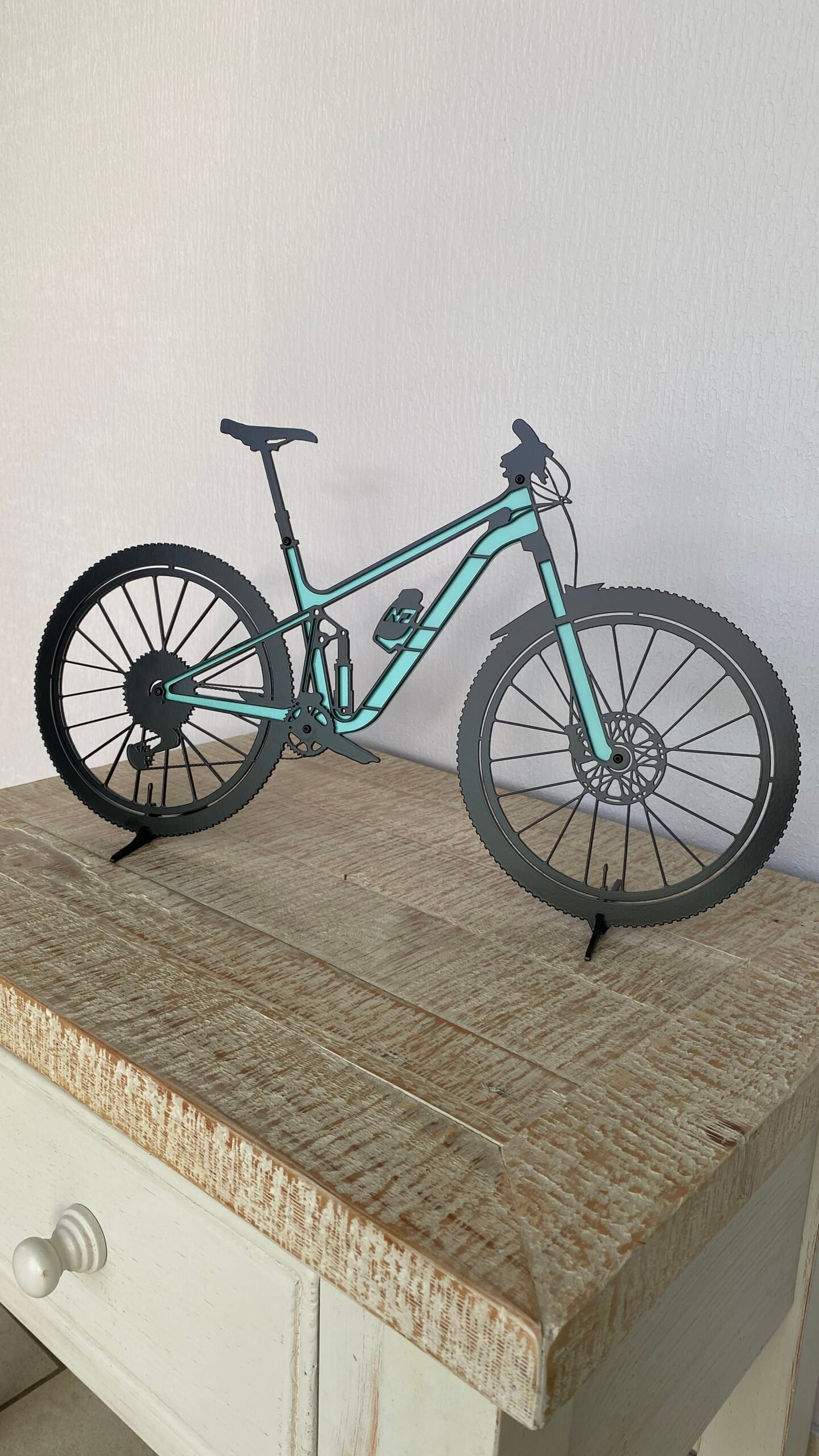 Silhouette vélo VTT turquoise